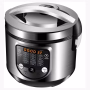 Steinborg SB-3100