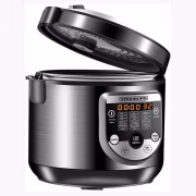 Steinborg SB-3100